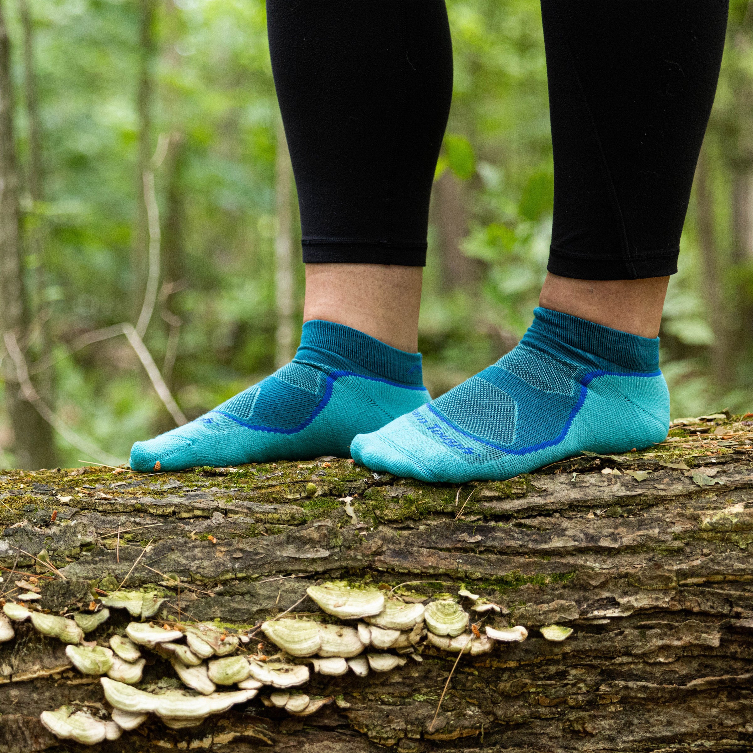 Women's Light Hiker No Show Lightweight Hiking Socks - Image 6